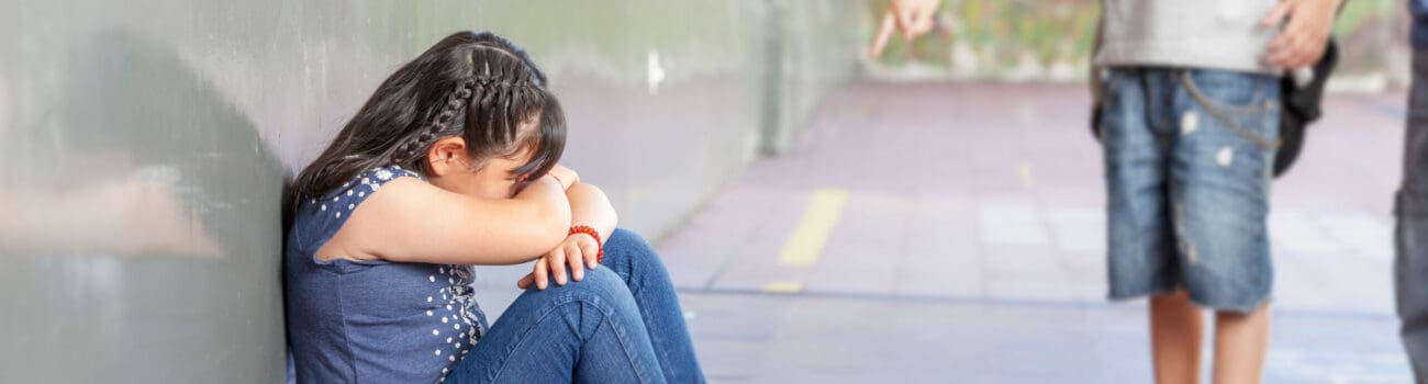 Bullying in Schools - A Comprehensive Guide
