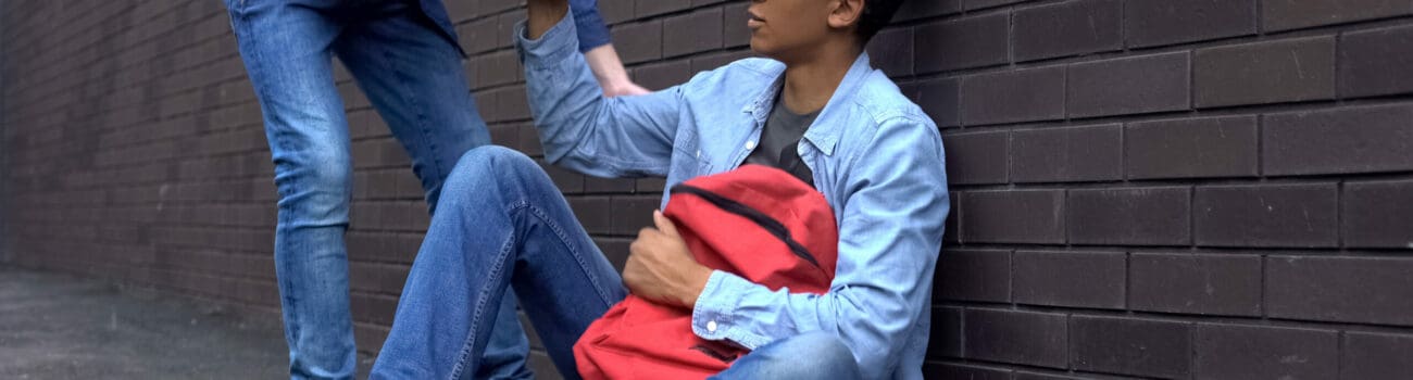 Bullying in Schools - A Comprehensive Guide