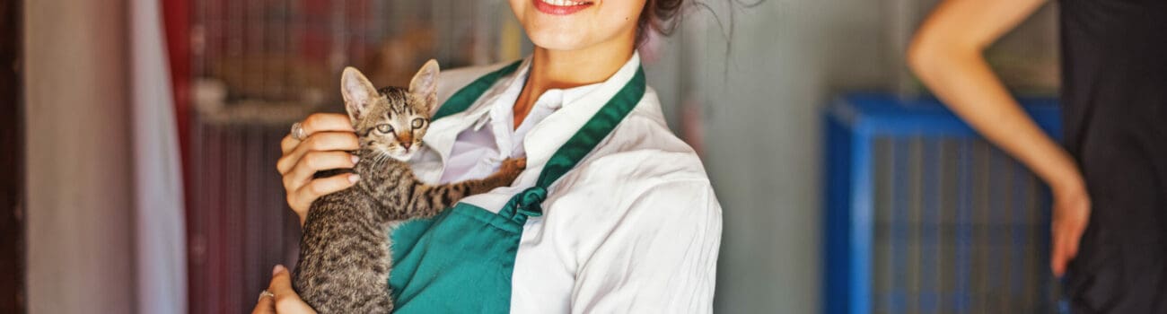 How To Build A Career Working With Animals How To Build A Career Working With Animals