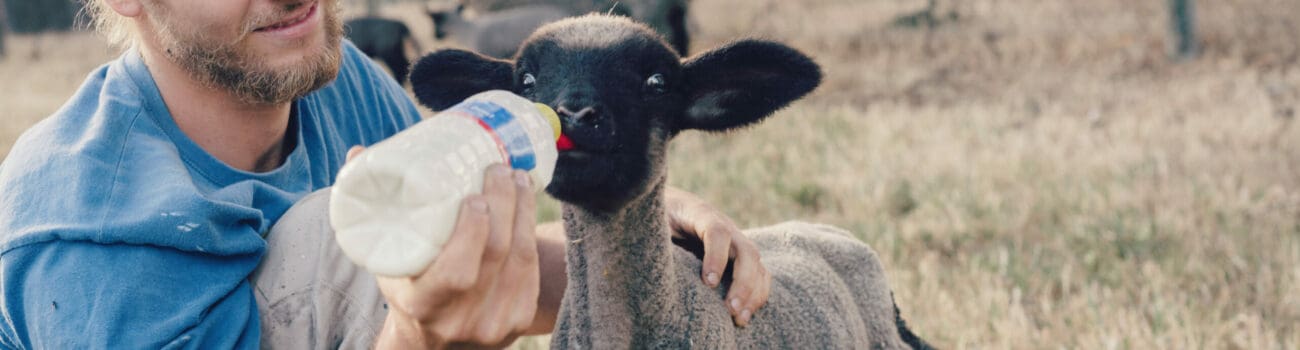 How To Build A Career Working With Animals How To Build A Career Working With Animals