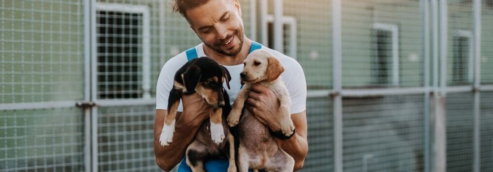 How To Build A Career Working With Animals How To Build A Career Working With Animals