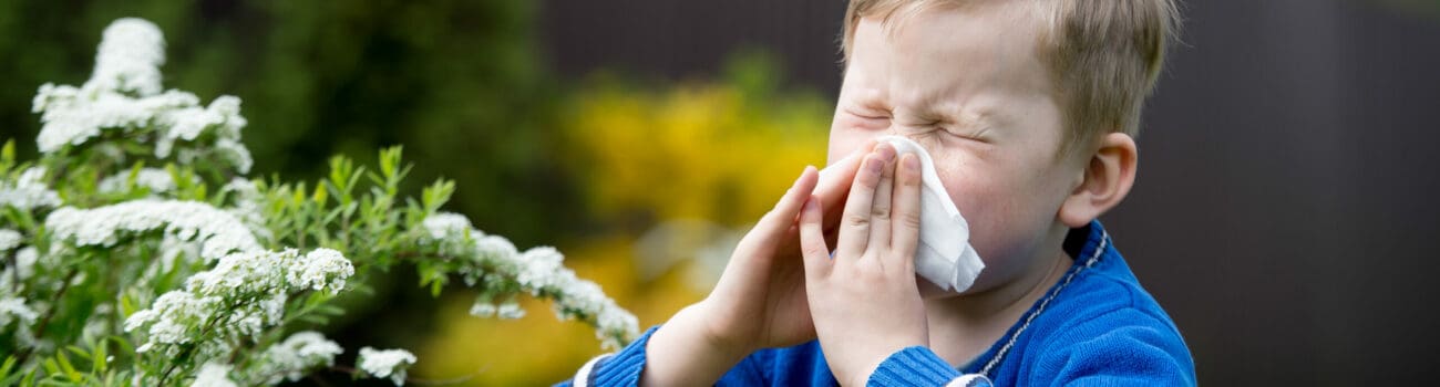 Most Common Childhood Allergies Most Common Childhood Allergies
