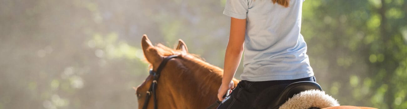 Understanding Animal Training - Positive Reinforcement Techniques Understanding Animal Training - Positive Reinforcement Techniques