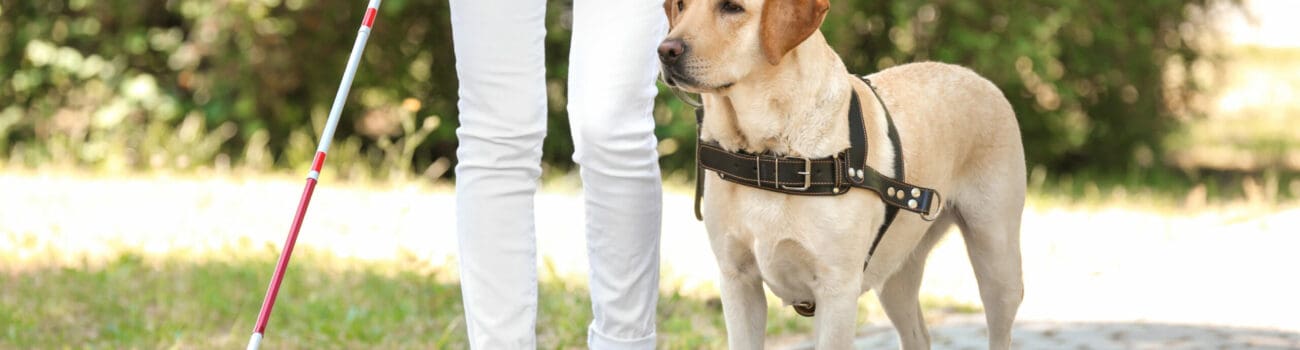Understanding Animal Training - Positive Reinforcement Techniques Understanding Animal Training - Positive Reinforcement Techniques