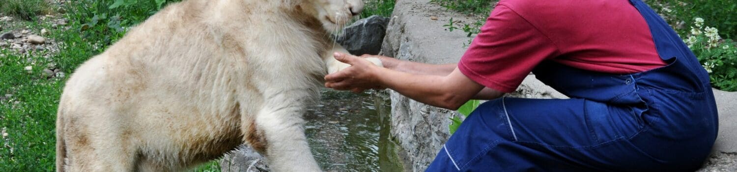 A Day in the Life of a Zookeeper A Day in the Life of a Zookeeper