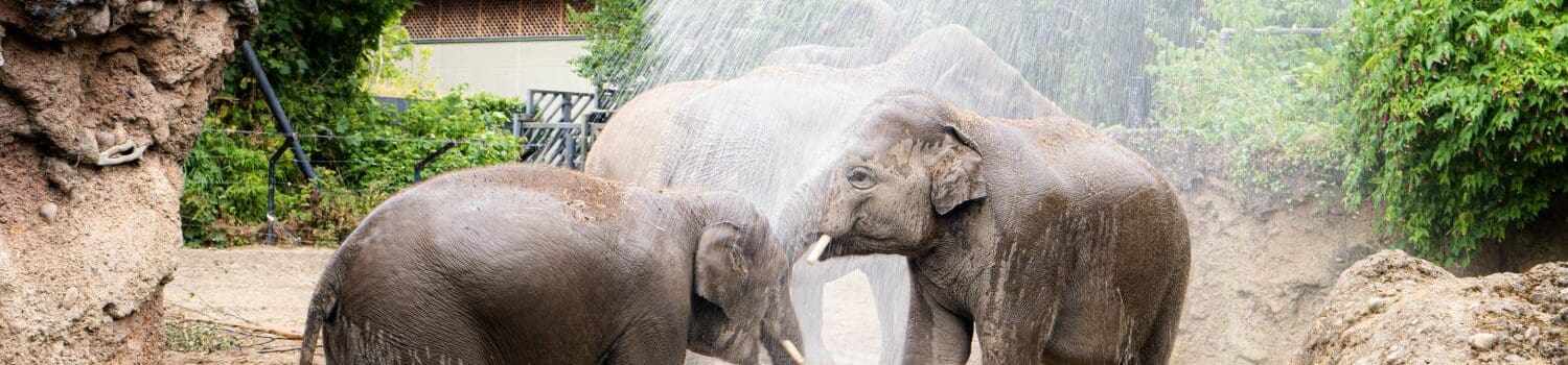 A Day in the Life of a Zookeeper A Day in the Life of a Zookeeper