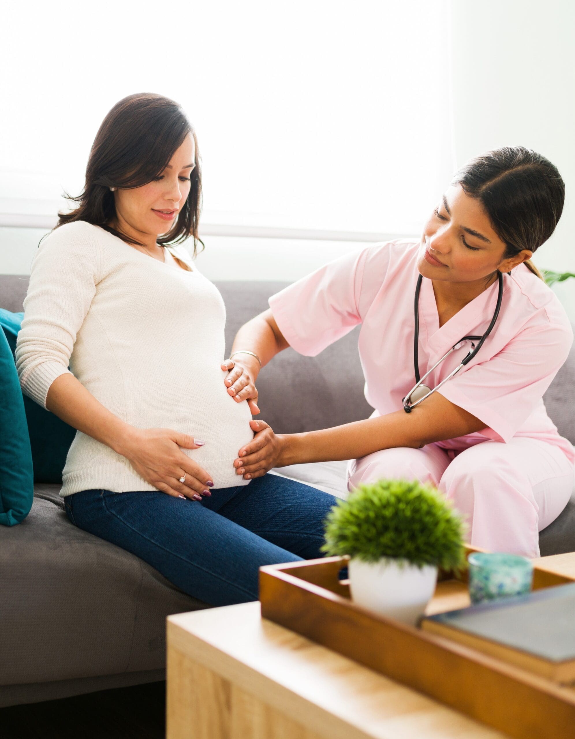 Professional bodies for a Midwife Professional bodies for a Midwife