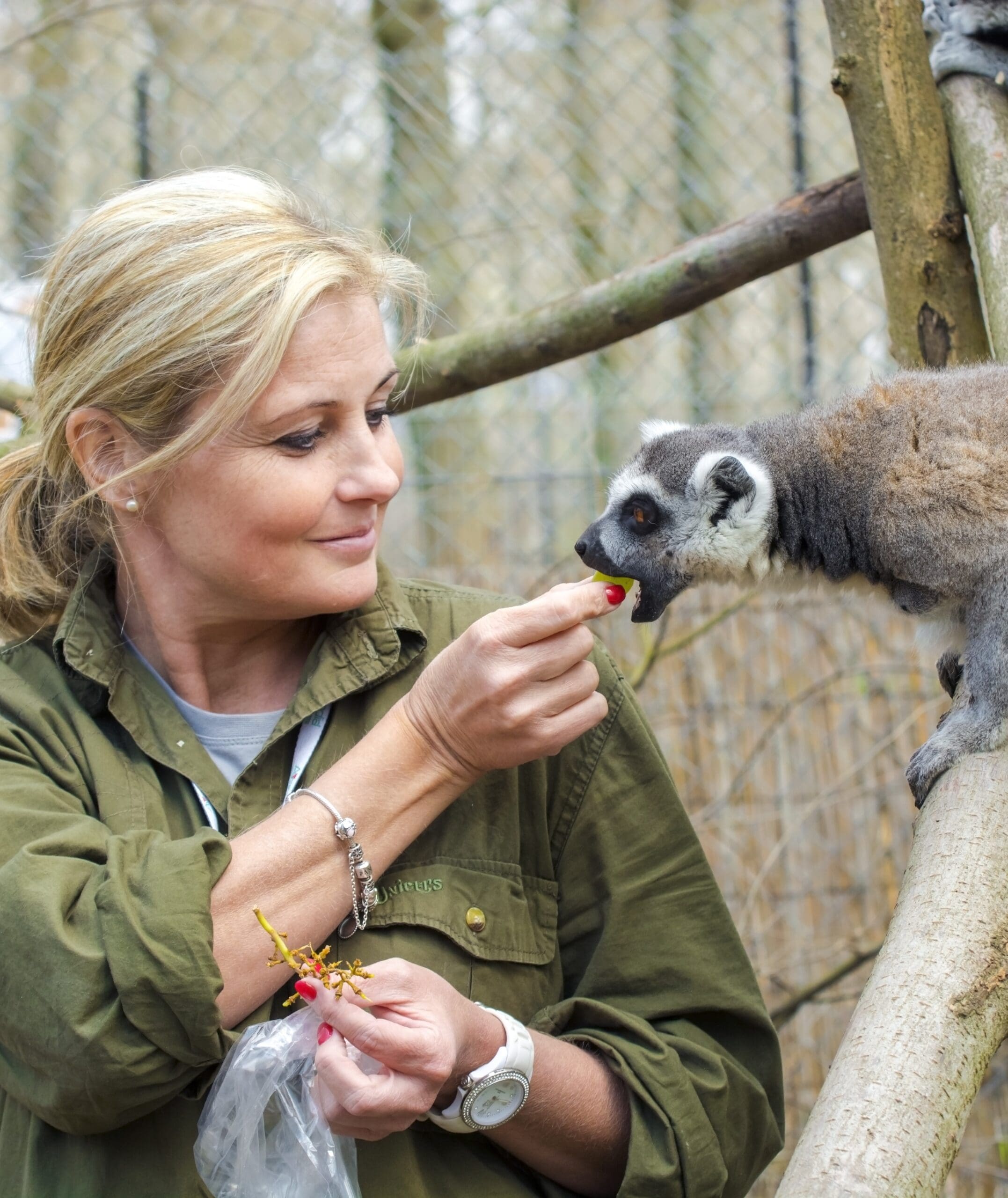 Professional bodies for a Zookeeper Professional bodies for a Zookeeper