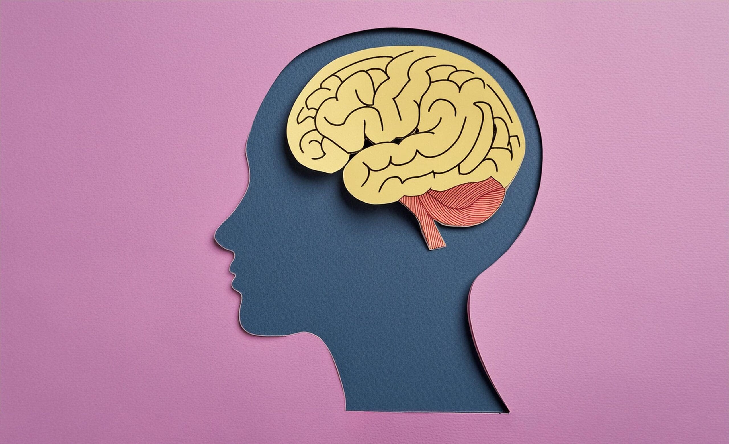 What Is Freud’s Structural Model of Personality What Is Freud’s Structural Model of Personality