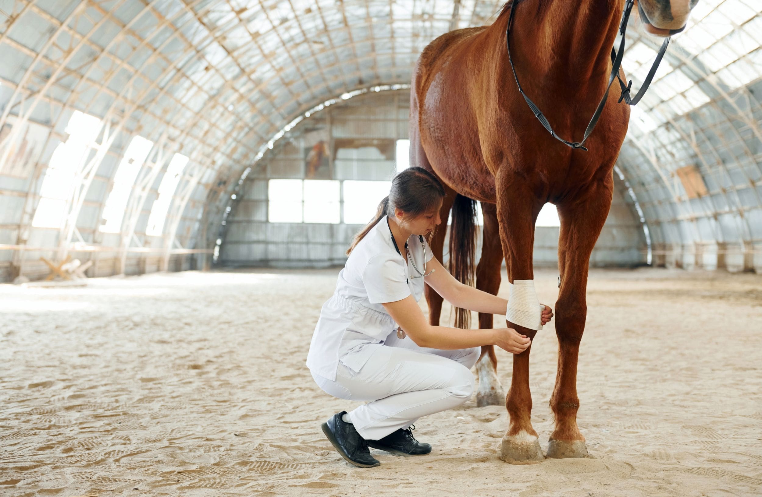 Fractures and sprains